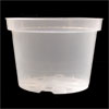 8" Rigid Clear Orchid Pot